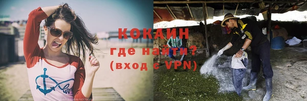 mix Вяземский