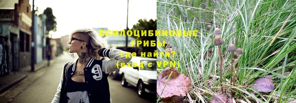 герыч Вязьма