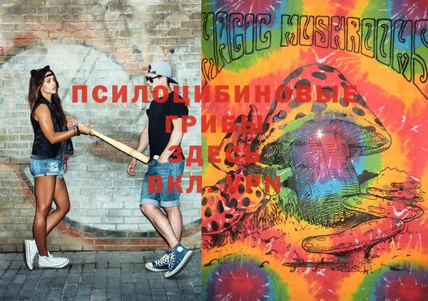mix Вяземский